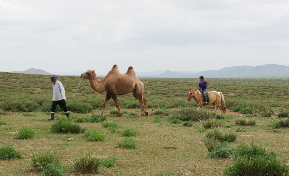 Nomadic life in Mongolia, a reportage | TheCulturalMagazine.com